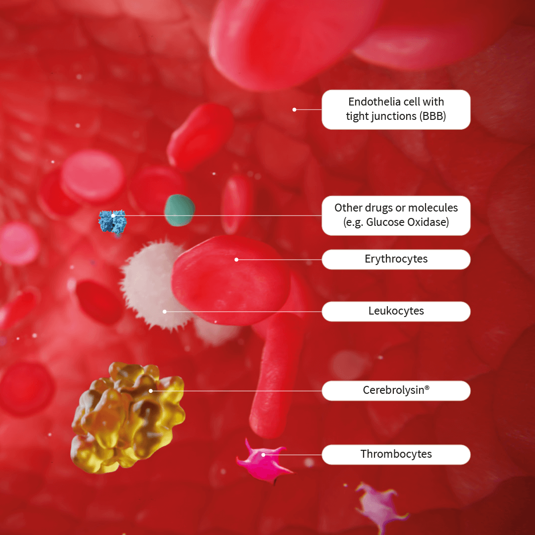 Cerebrolysin ozone peptide therapy eb02 regenerative clinics holistic health care naturopath naturopathy medicine biohacking london