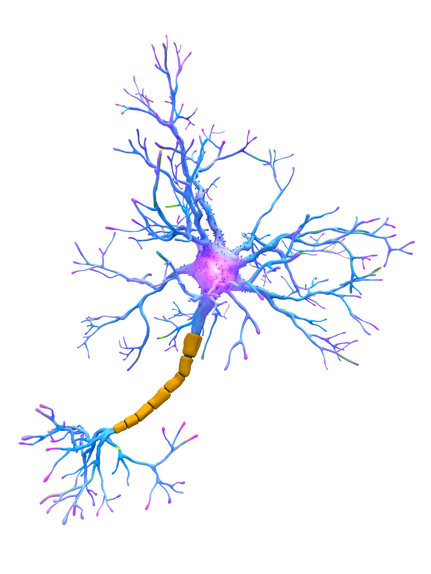 Cerebrolysin: Stimulates Neuroplasticity ozone peptide therapy eb02 regenerative clinics holistic health care naturopath naturopathy medicine biohacking london